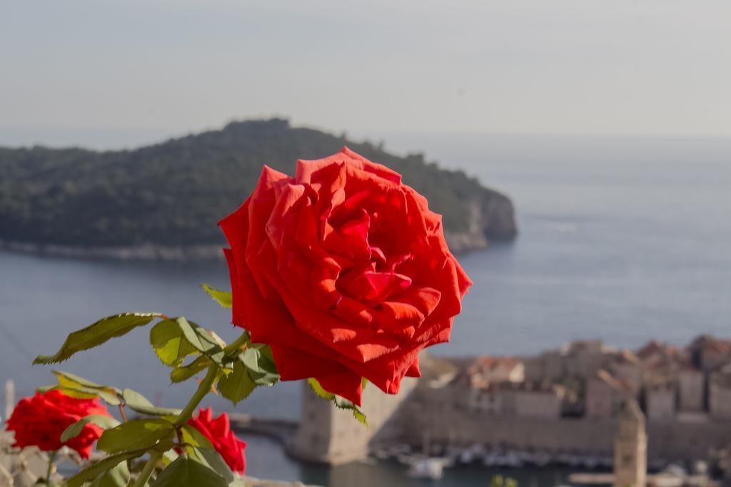 Apartment Teo Dubrovnik